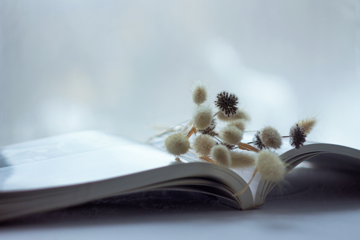 ...зимние месяцы...