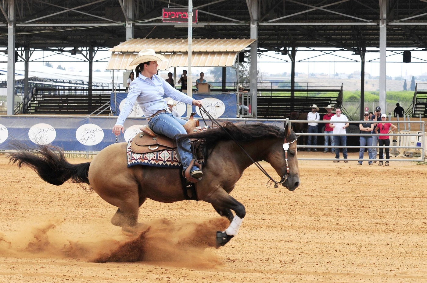 Про ковбоев и лошадок