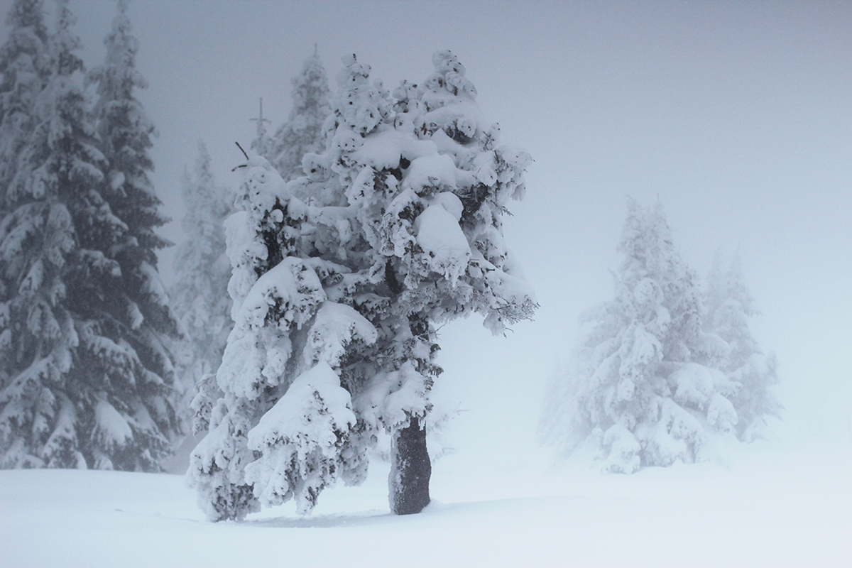 Зимний день...