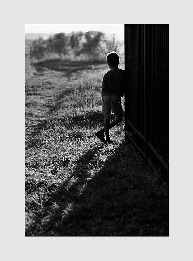 Низкое вечернее солнце