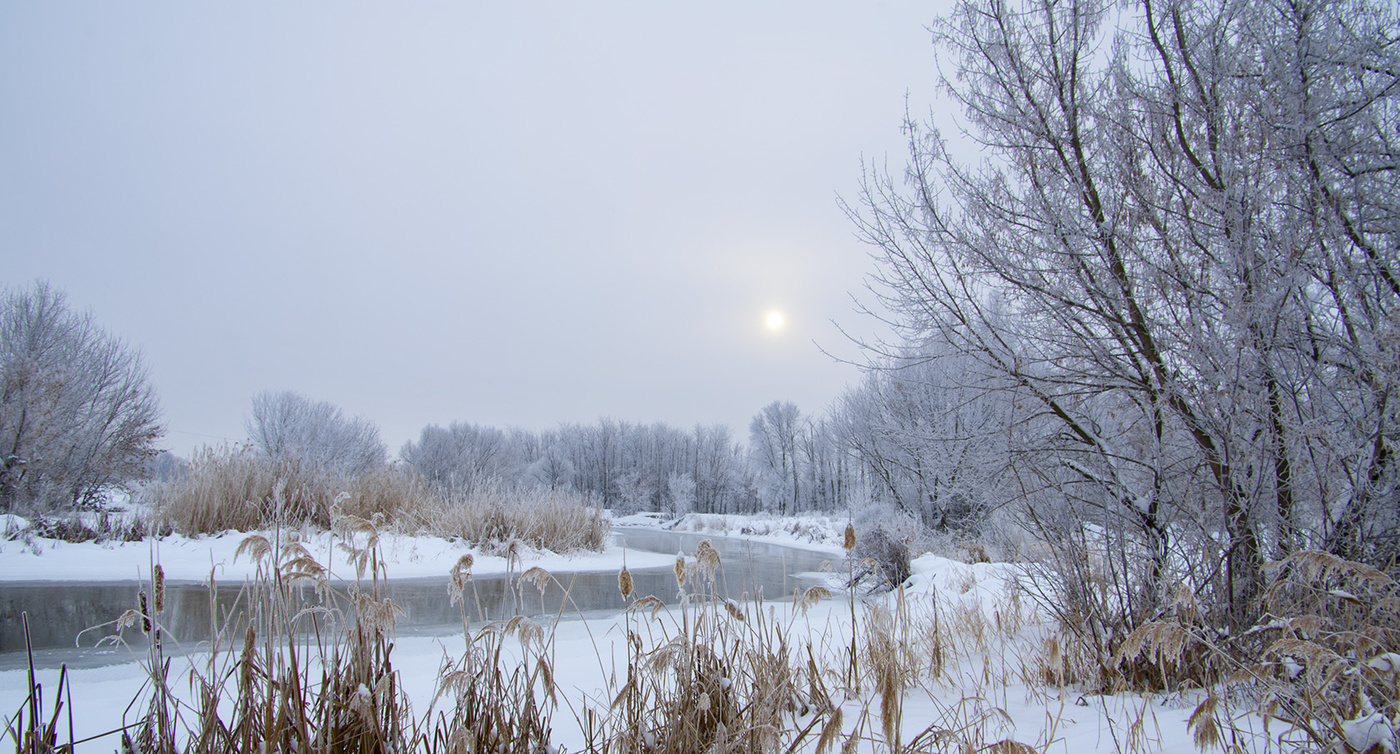 Проблески солнышка