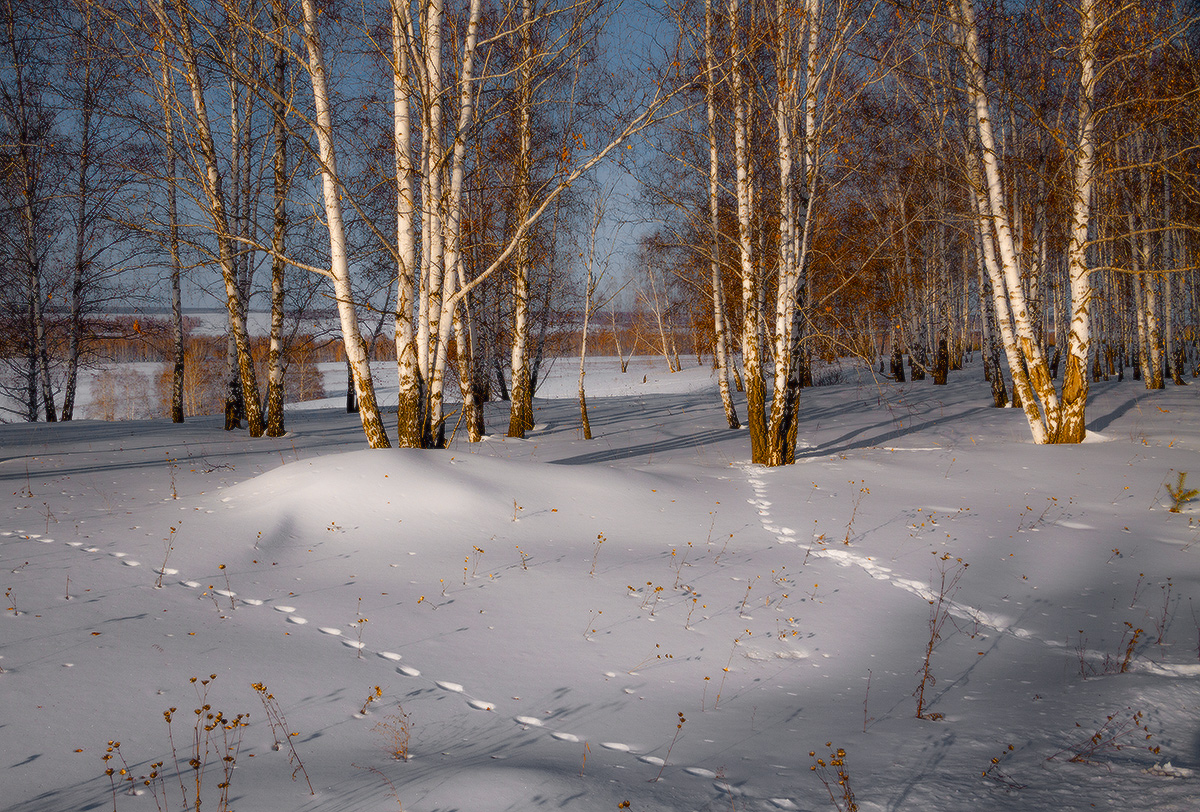 Вечереет. Домой