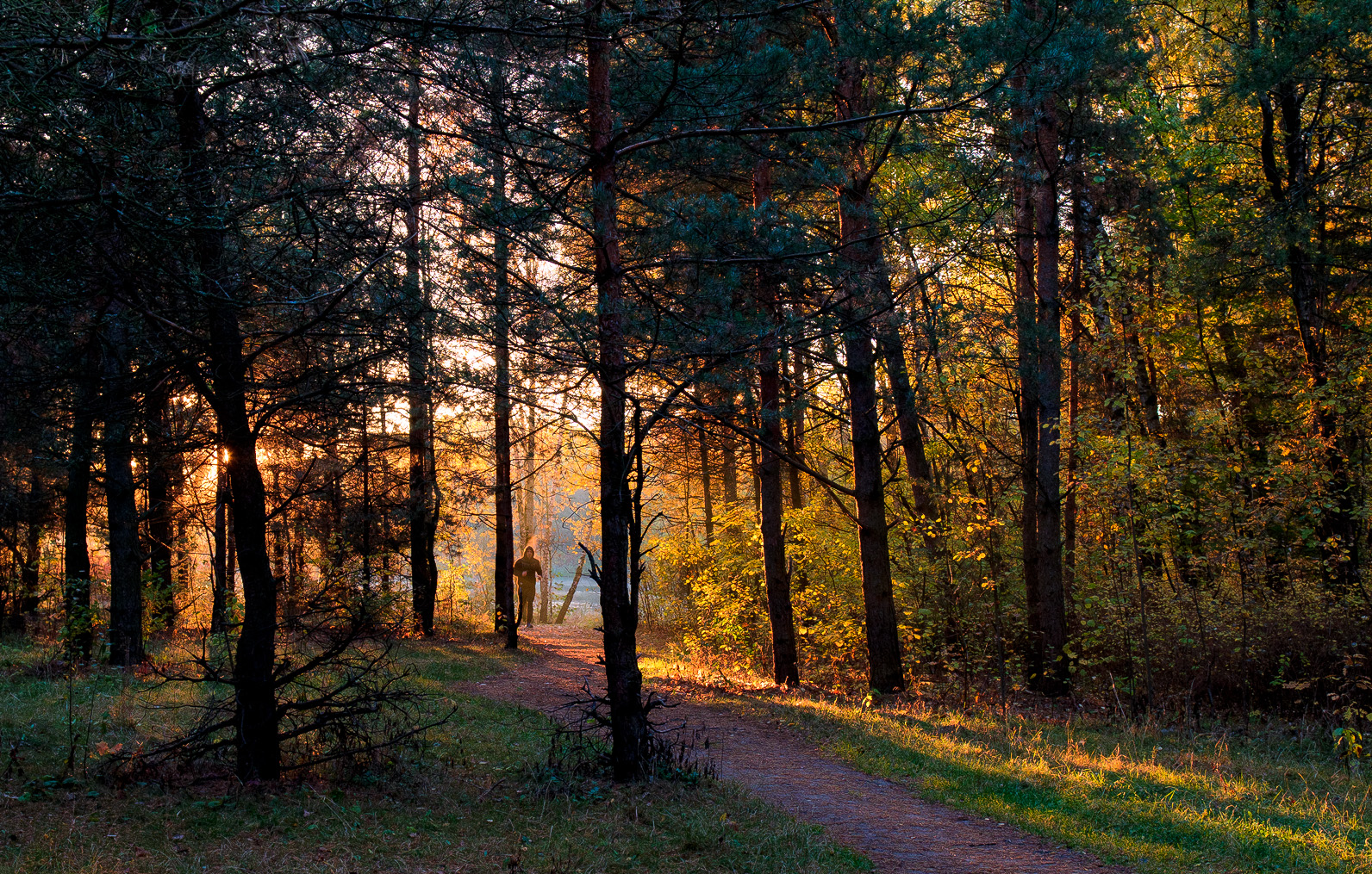 мимо проходил