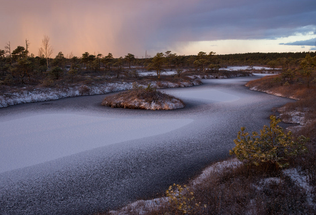 Плавающие кочки