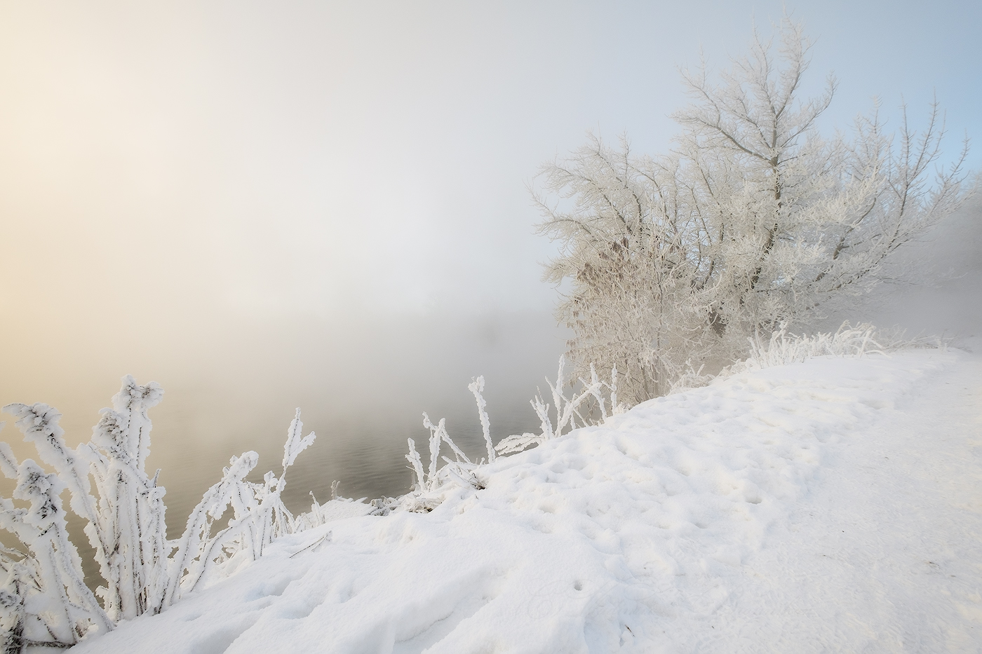 Морозная картина утра