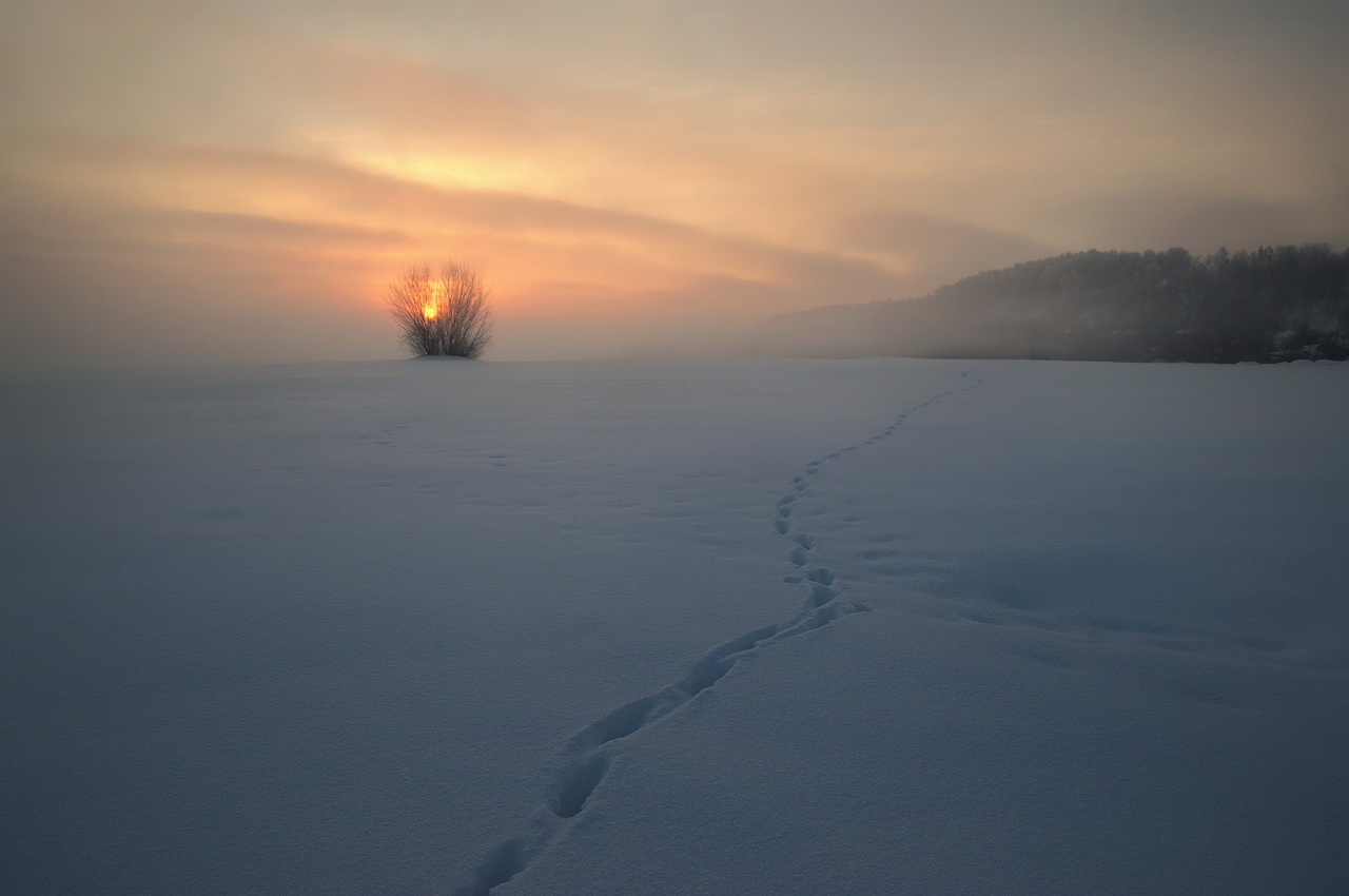 Близкое далёко