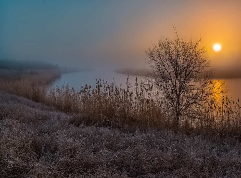 Туманный рассвет