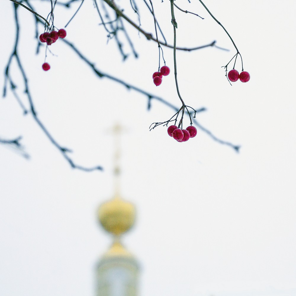 Близкое далёко