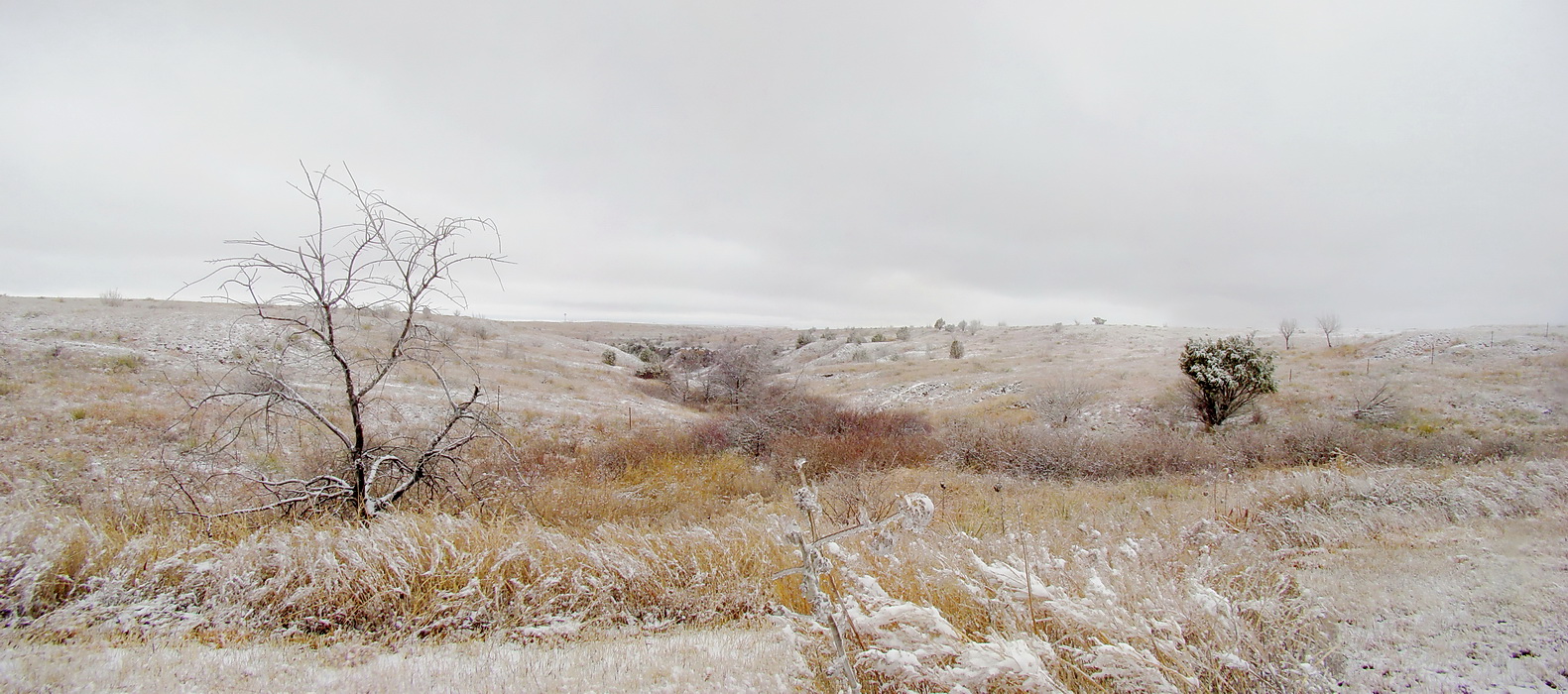 такая зима в Техасе..