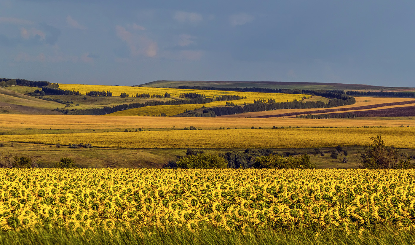 Близкое далёко