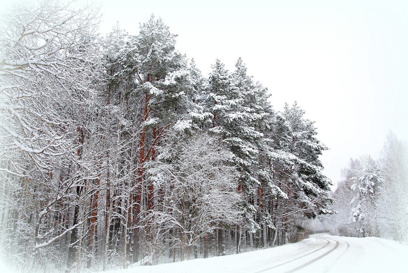 Там, за поворотом...