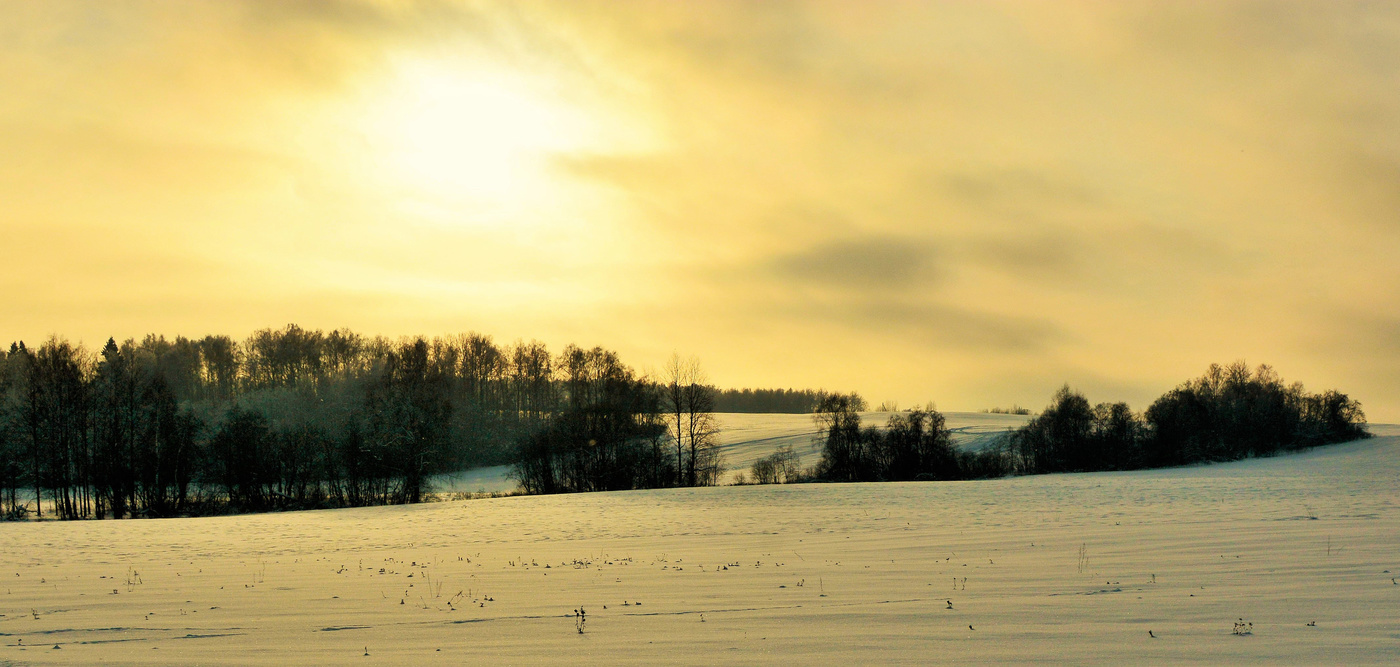 "Когда бледнеет день и сумрак задымится ..."