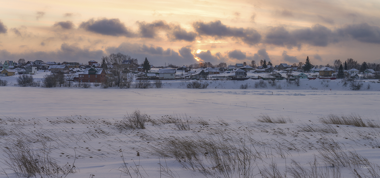 занималась алая
