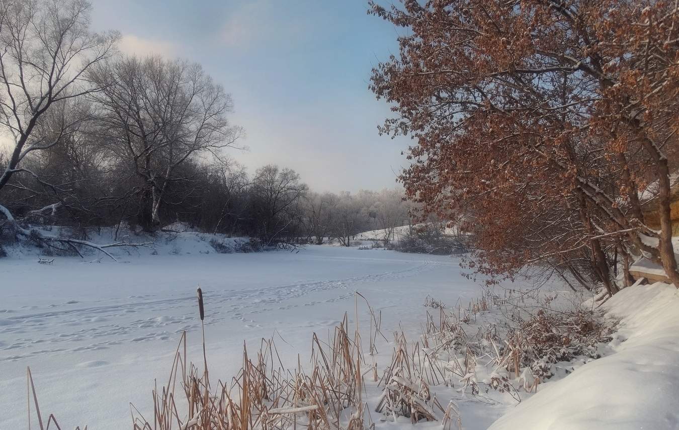 Зимний Орлик