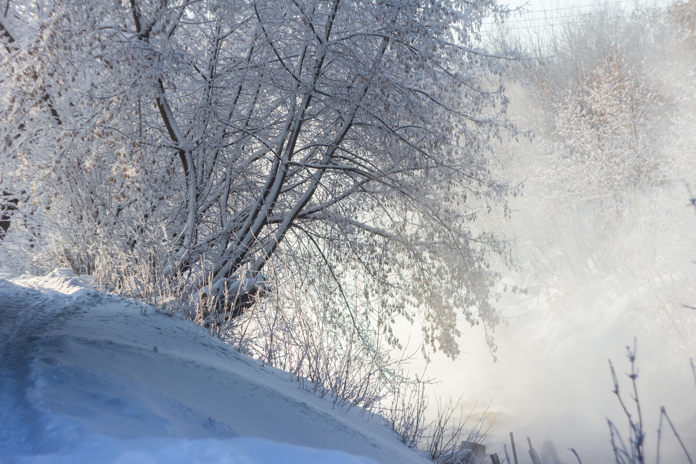 снежный занавес