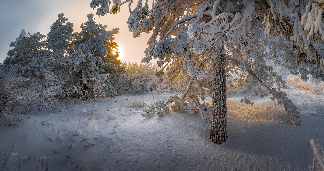 Густой иней