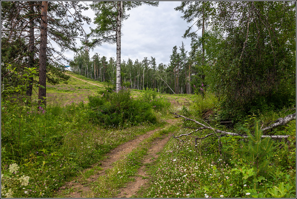 На байкальских берегах
