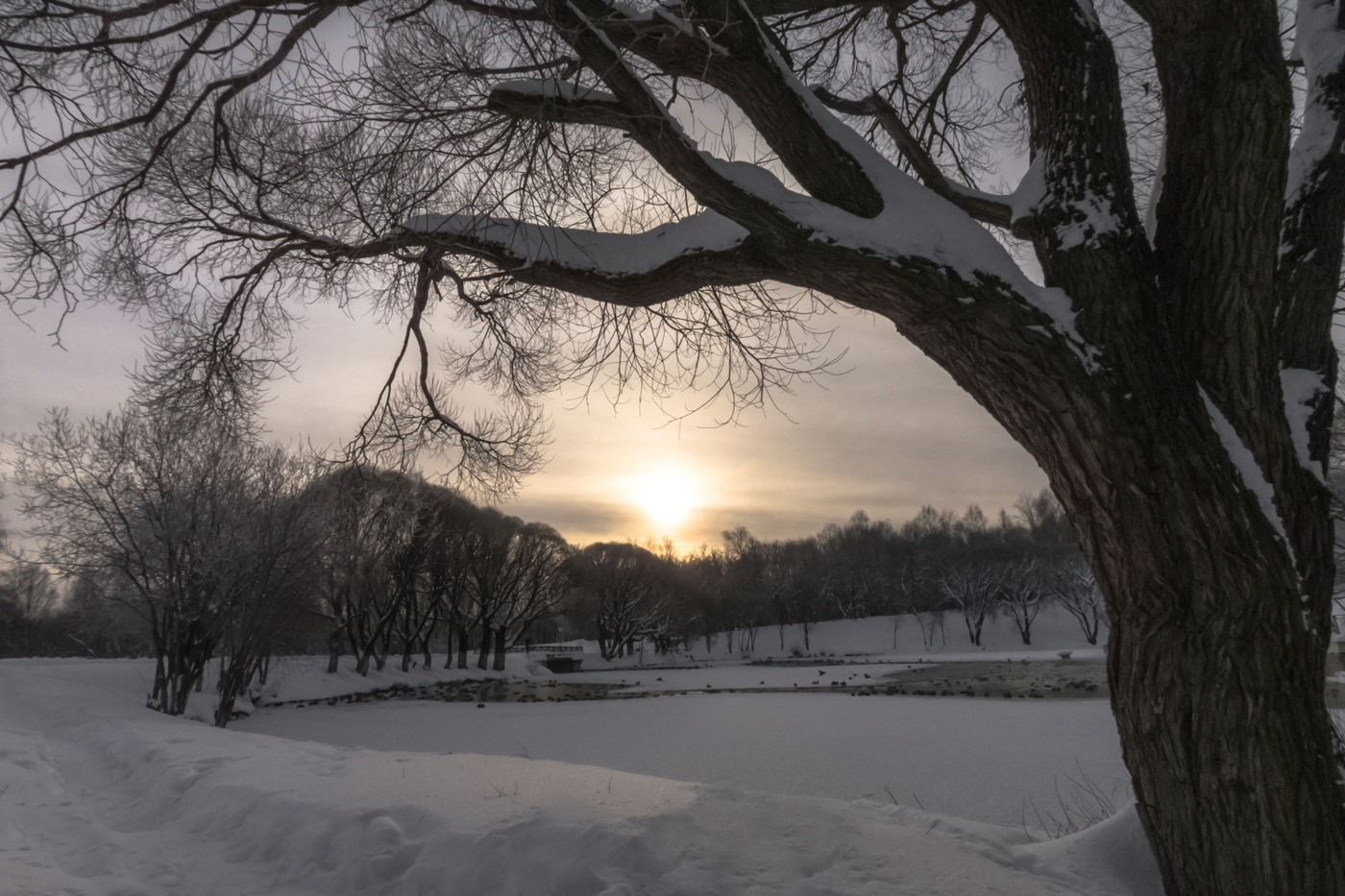 Вечер у пруда