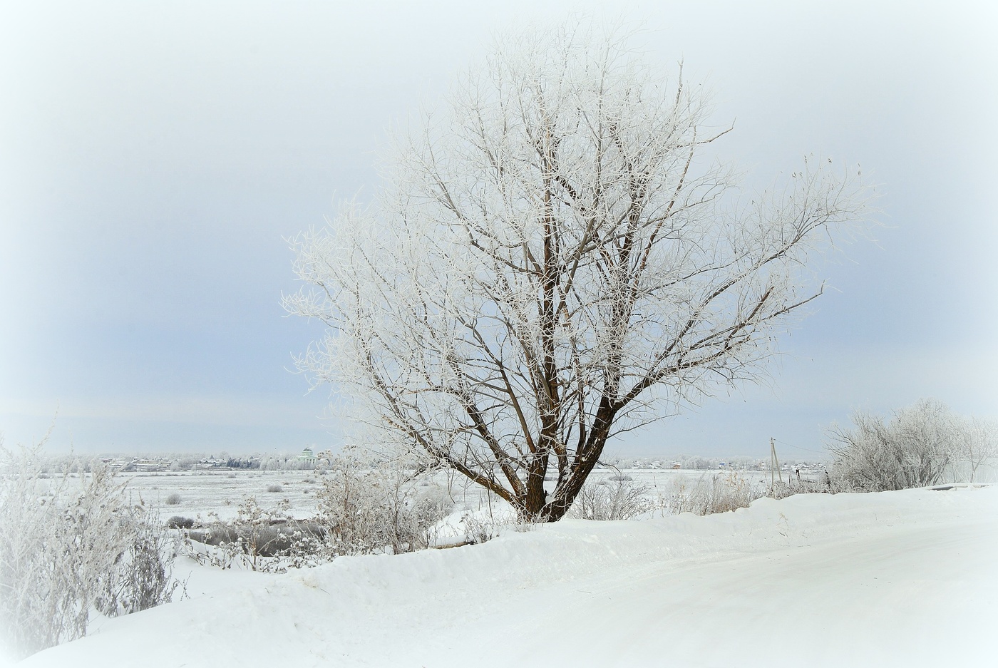 Зимняя зарисовка.