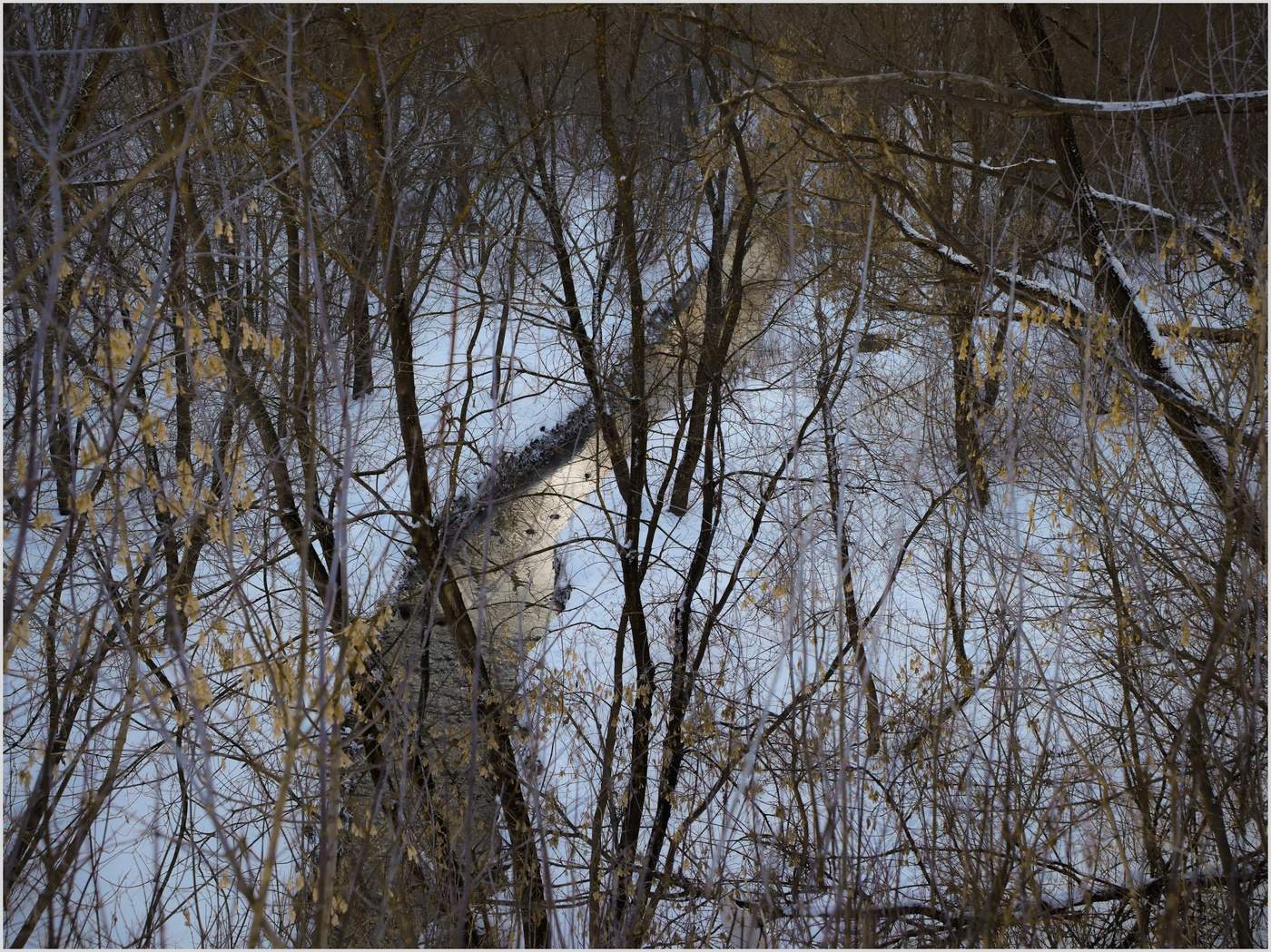 Золотая речка