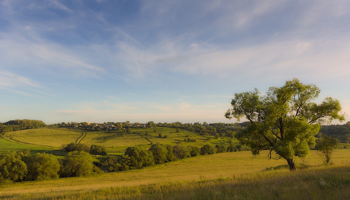 Длинные тени июньского вечера