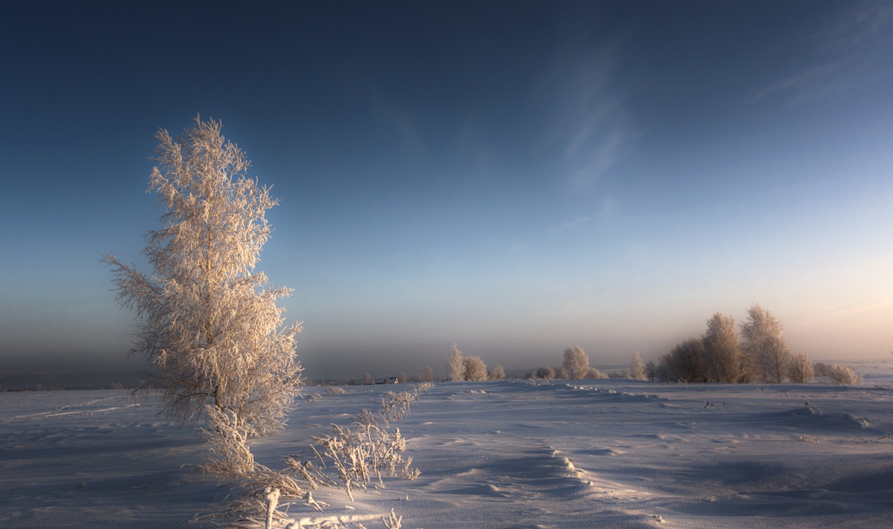 Зимний вечер в поле.