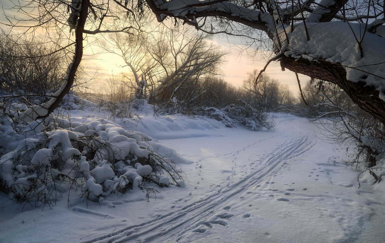 По замерзшей Тулице на лыжах