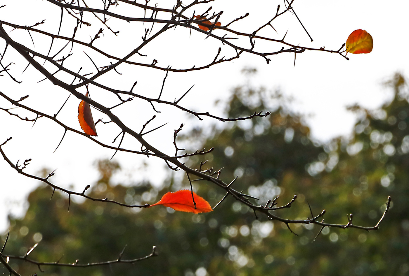 Последние...