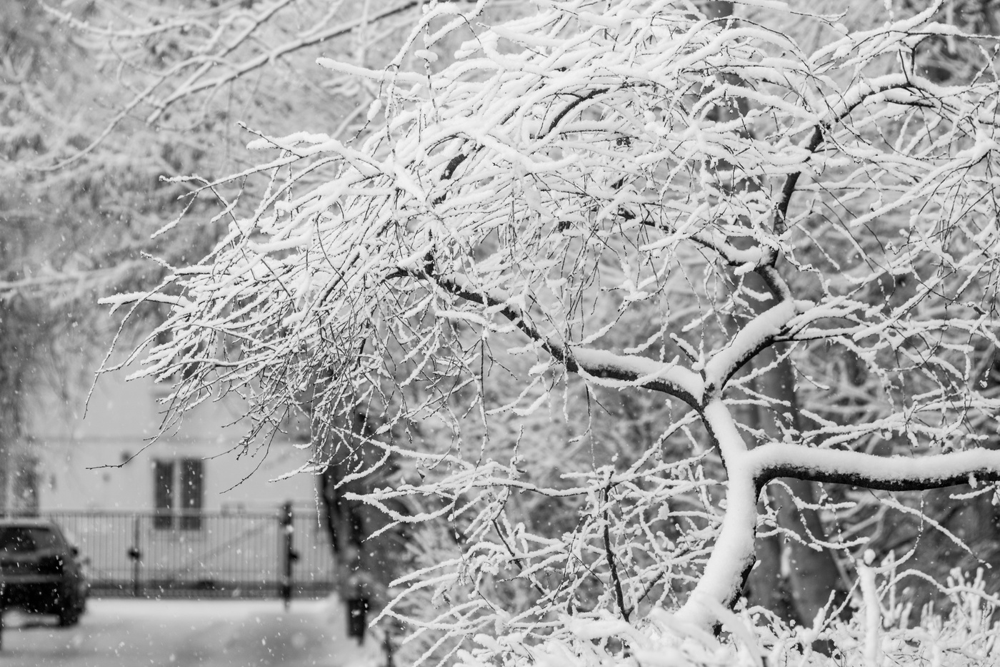 зимний двор