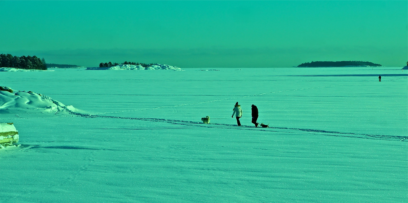 На прогулке