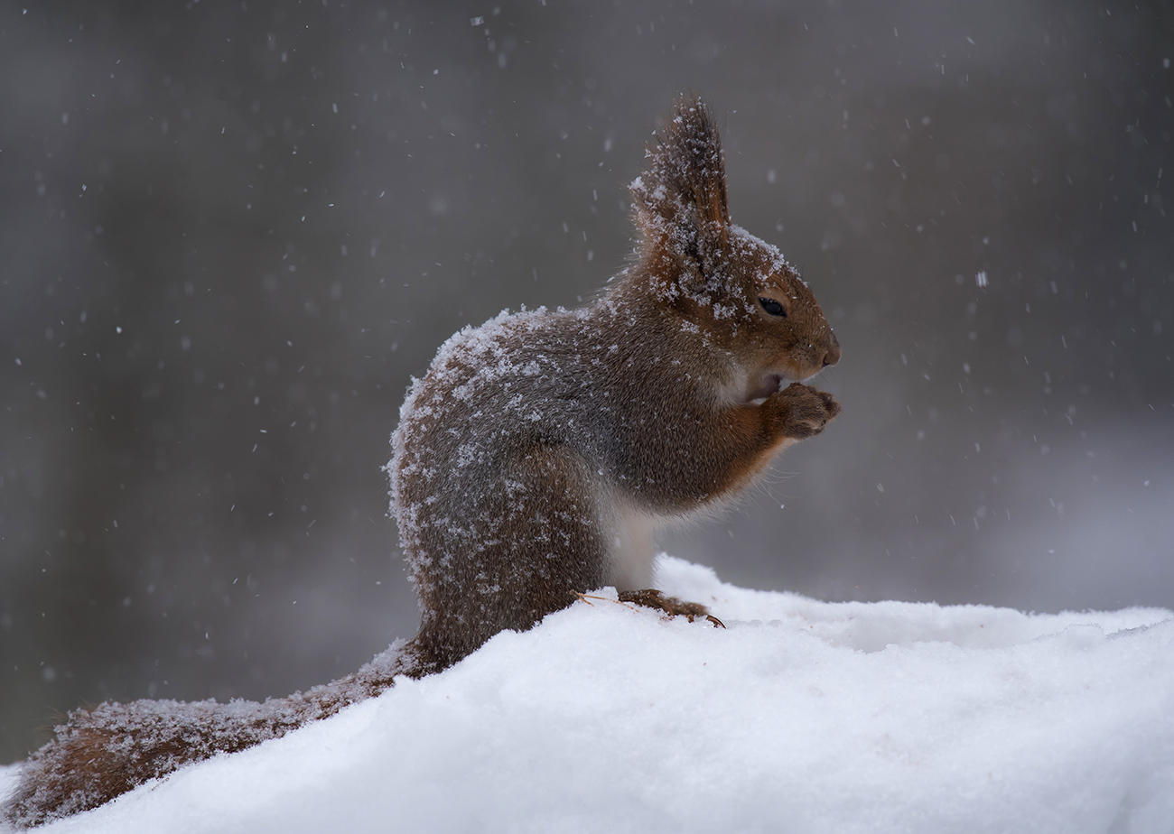 "Холодно...блин"