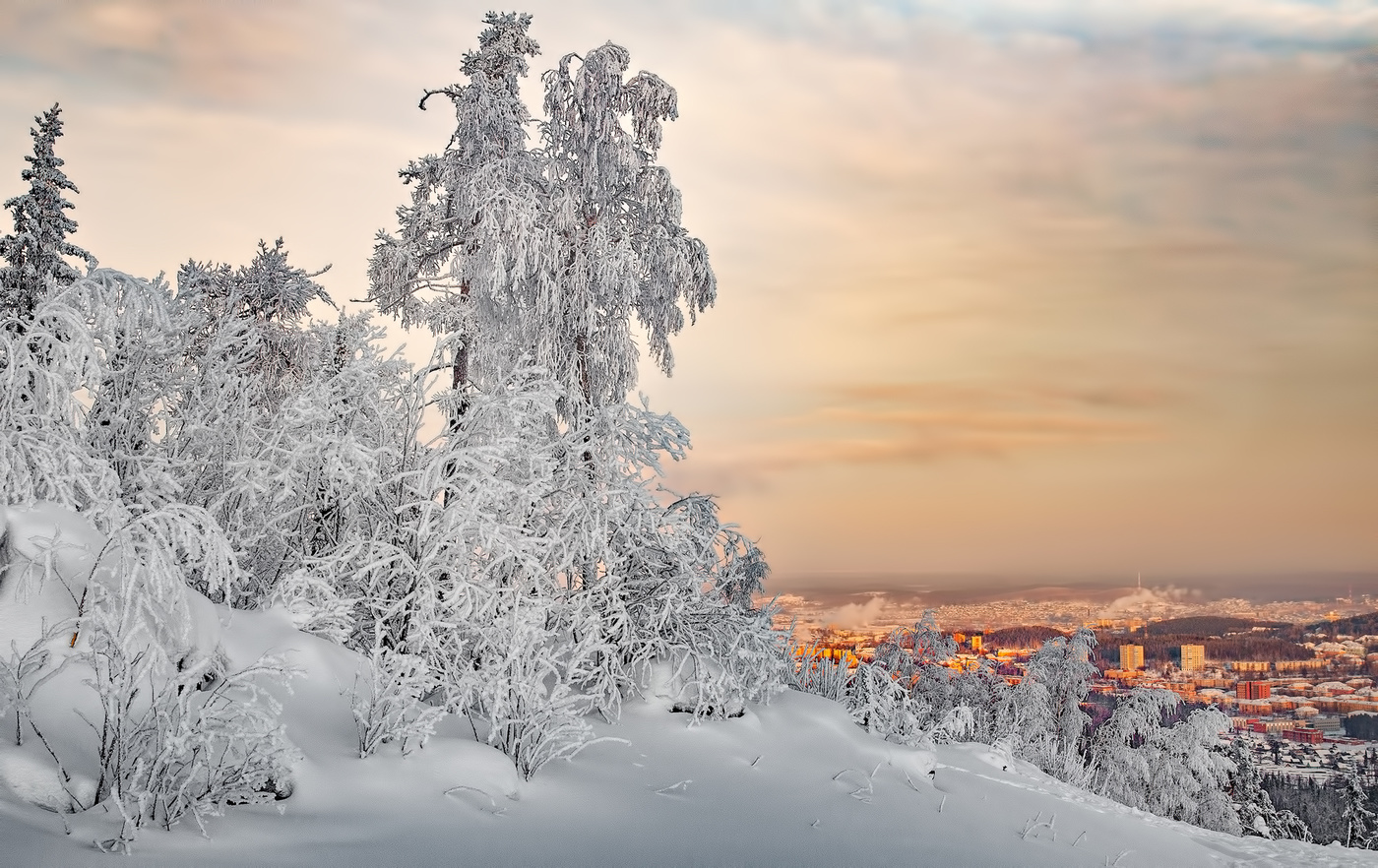 Зимние контрасты