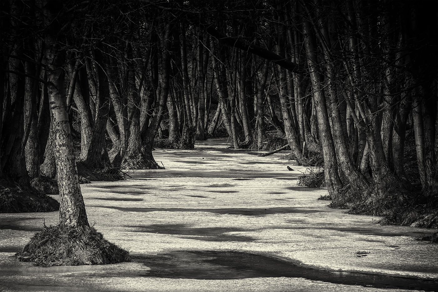 Глубокая осень