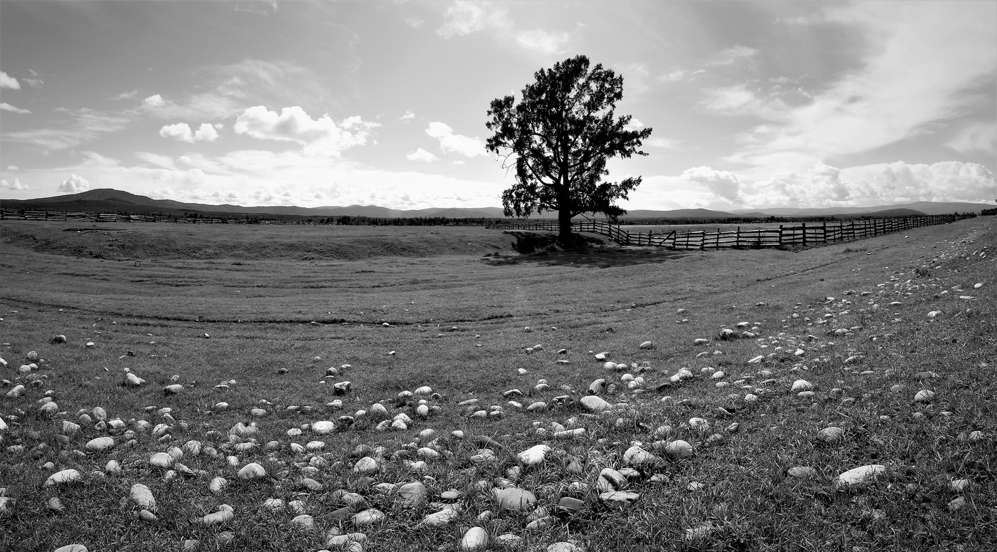 Одиночество