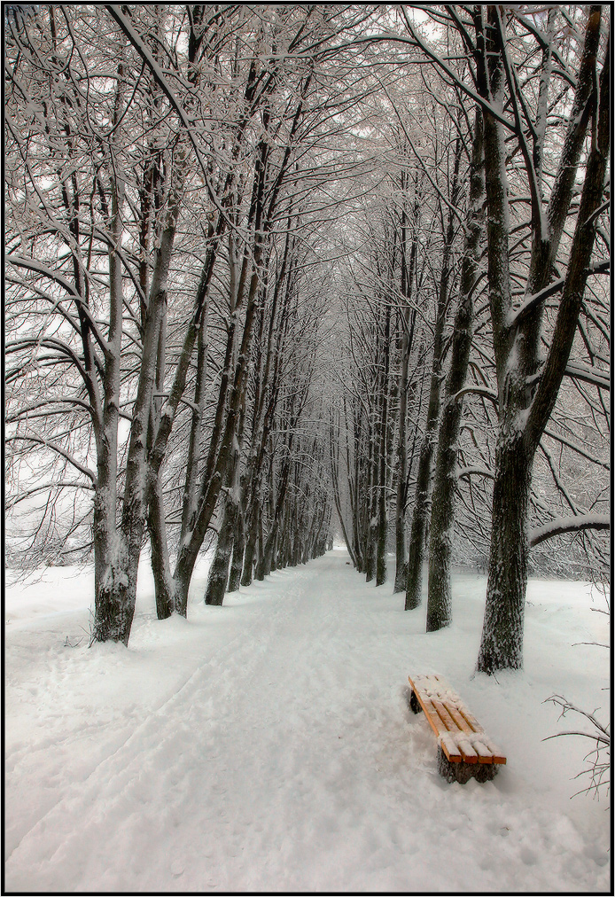 Без названия