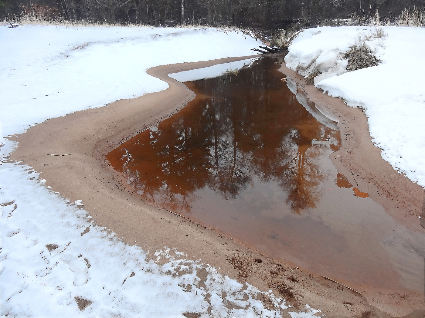 Отголосок лета