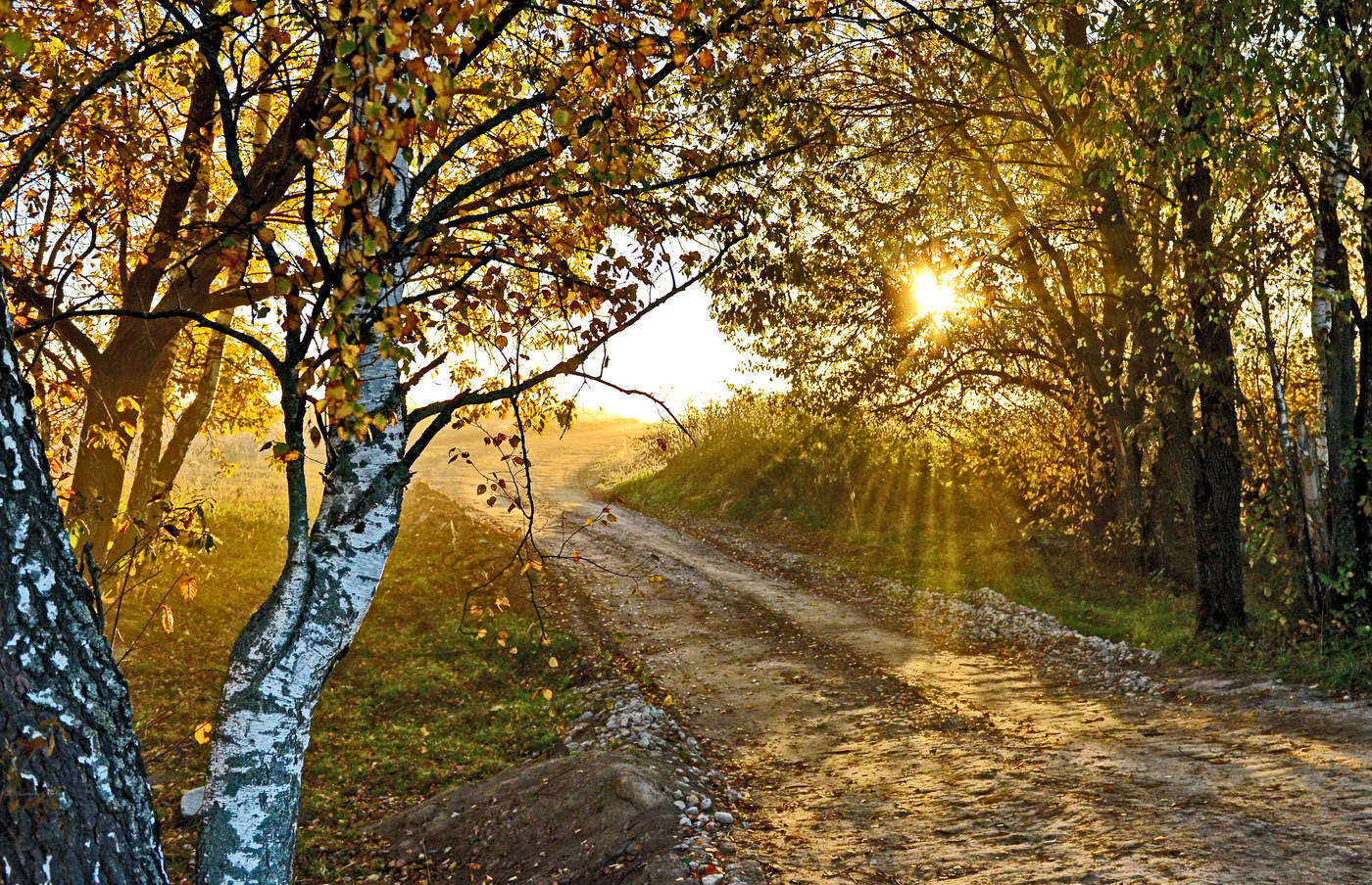 Луч солнца золотой.