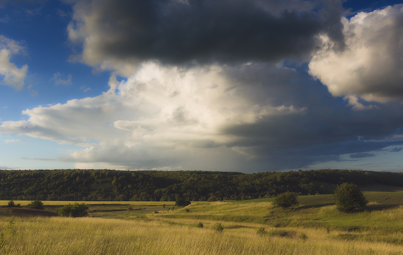 Русское раздолье