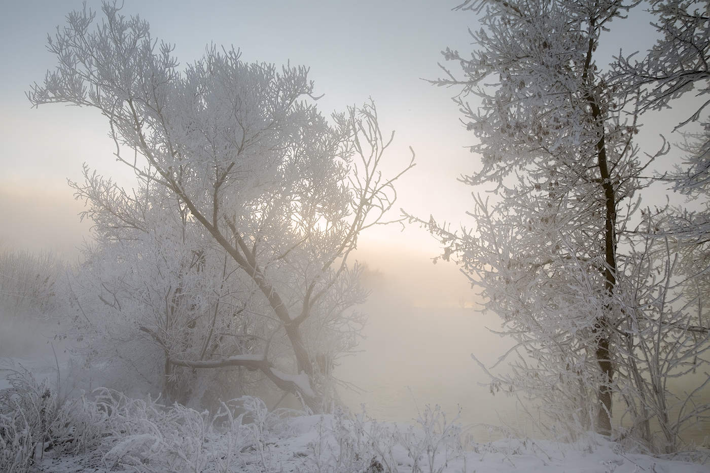 Хрустальное утро