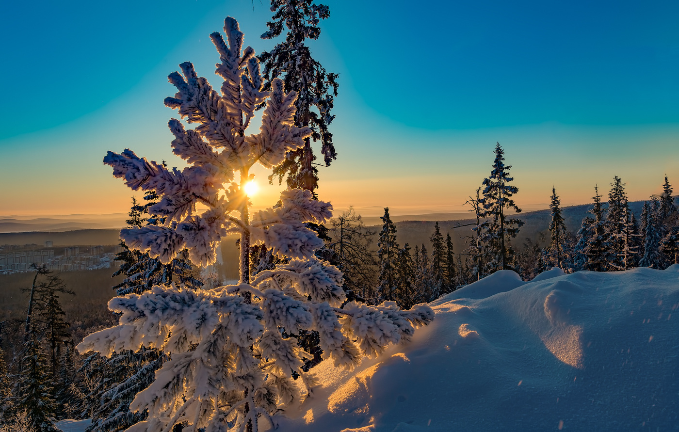 Утреннее солнце