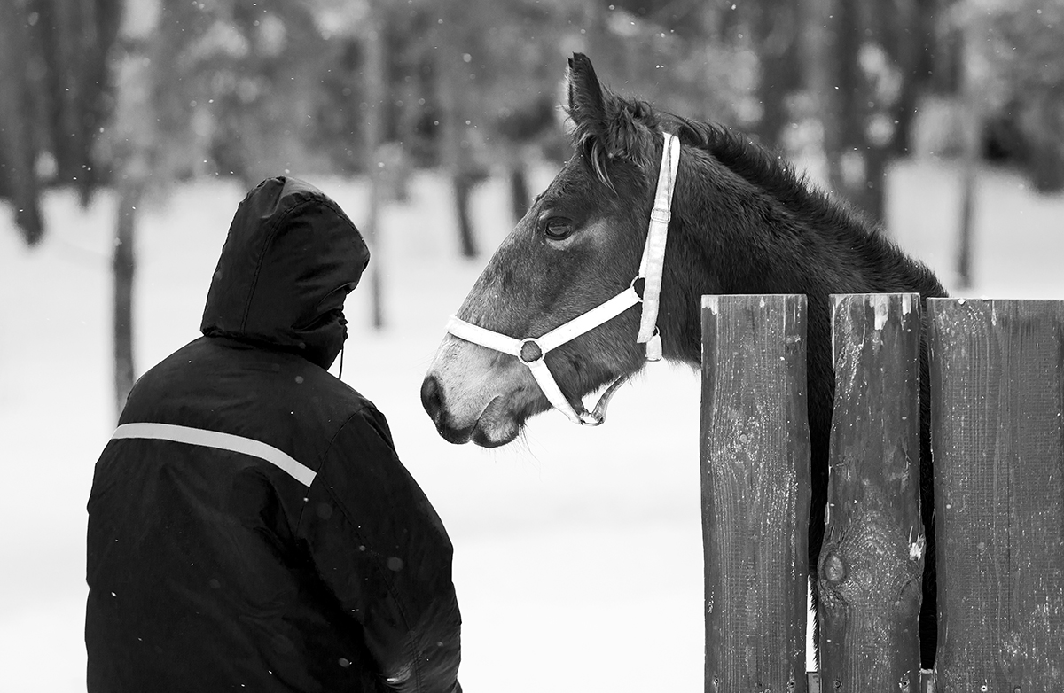 Без названия...