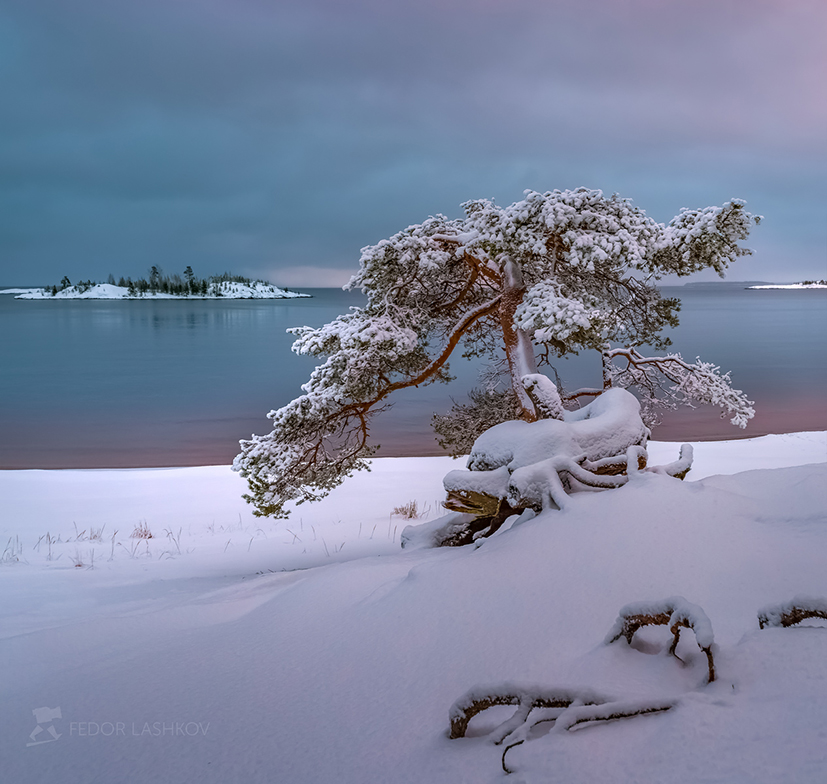 Акварельная Ладога