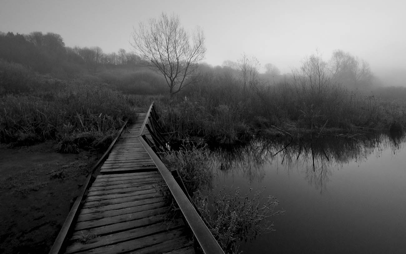 Пейзаж в миноре