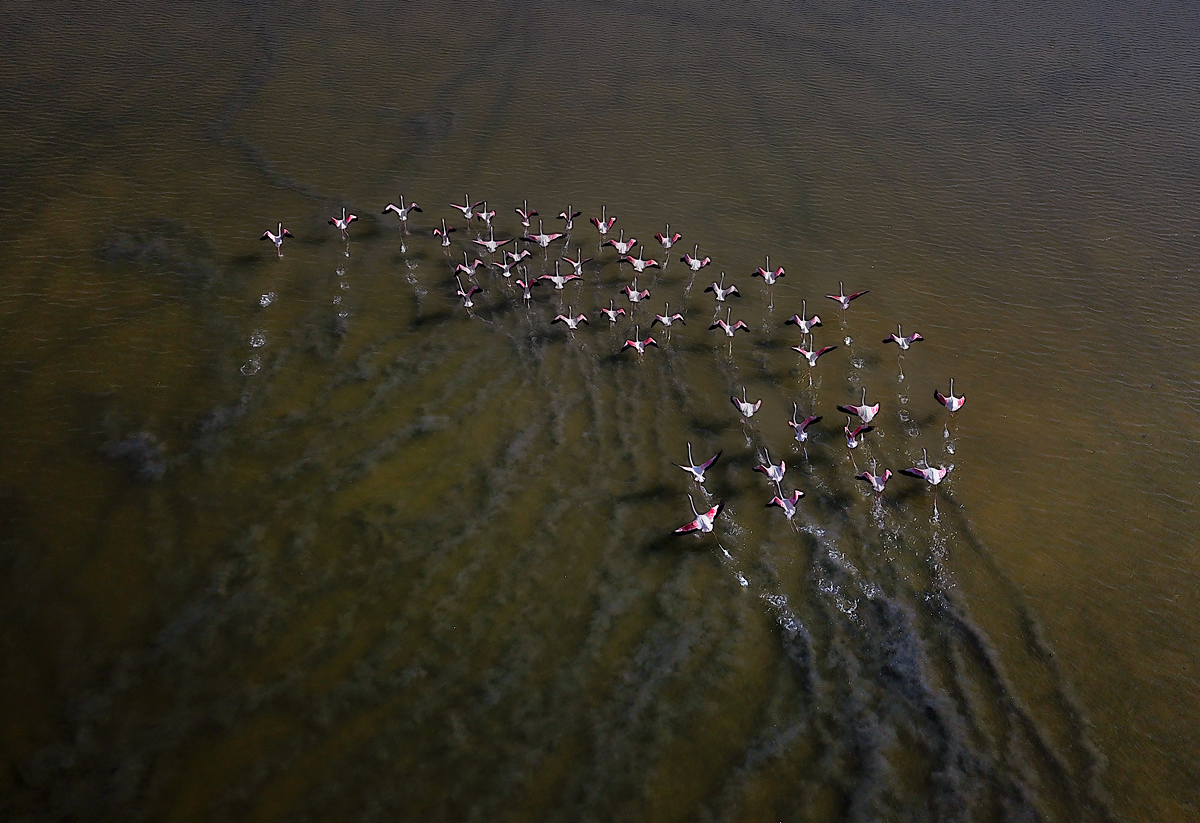 У каждого свой след...
