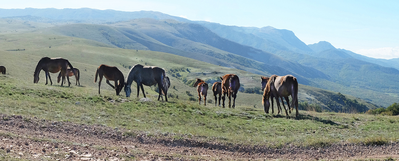 Высокогорное Утро.