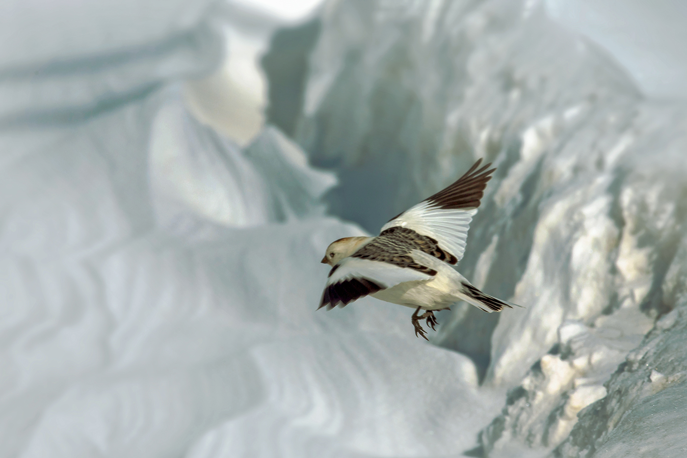 Много снега бывает