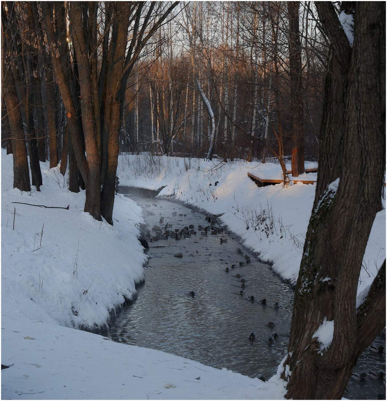 Перед заходом солнца