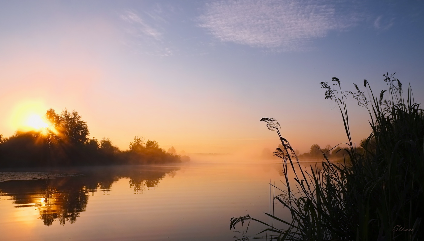 Летнее утро.