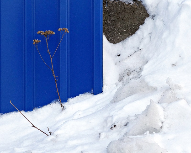 Много снега бывает