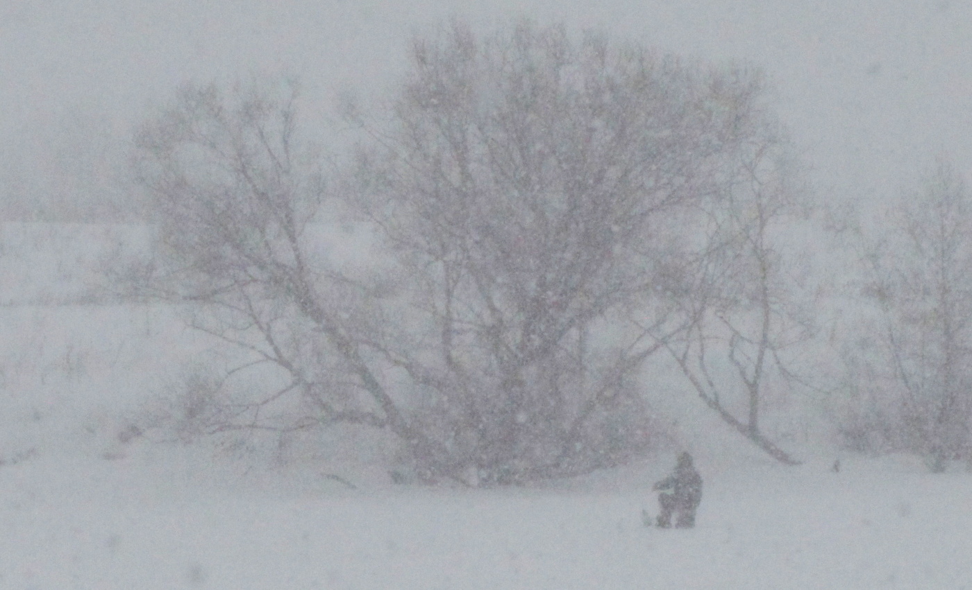 Много снега бывает